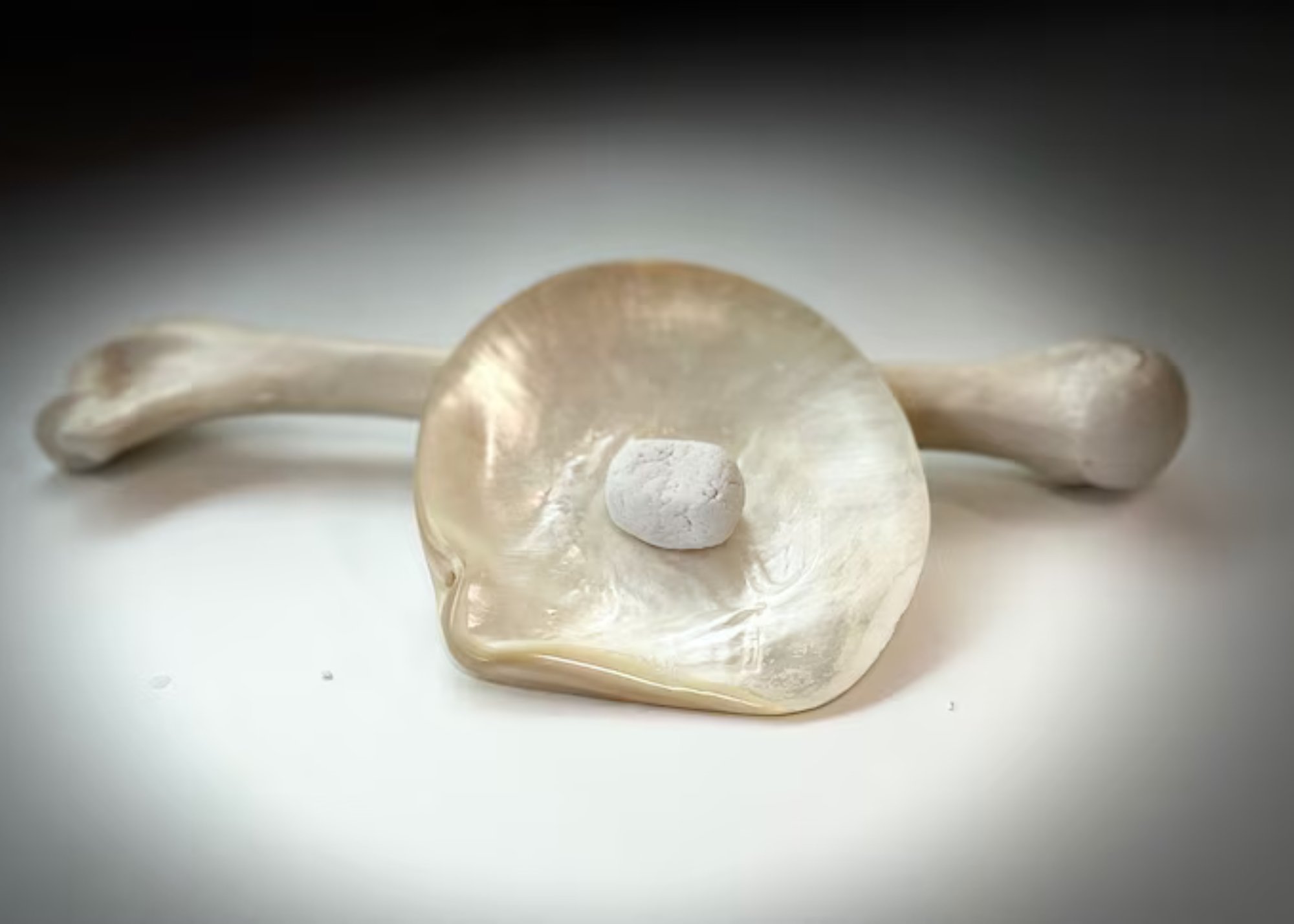 Orthocell Finalises Formal Agreement with Marine Biomedical and Secures Strategic Rights to Groundbreaking Bone Regeneration Technology, PearlBone™