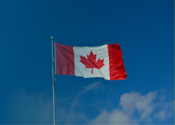 Orthocell achieves first Remplir™ sales in US$75 million Canadian Market