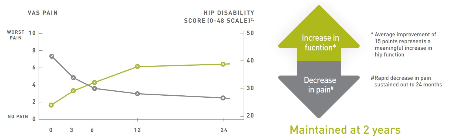 Clinical outcomes chart showing increase in hip function and sustained decrease in VAS pain scores over 24 months following Orthocell treatment, with 15 point average improvement in hip disability score maintained at 2 years